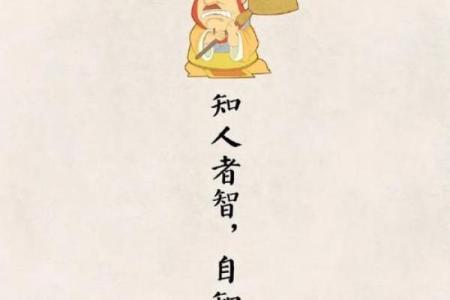 女命高贵,适合的伴侣有哪些?探索最佳良缘!
