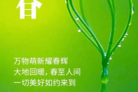 立春：命理中的变革时刻与人生方向的指引