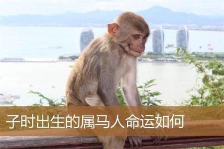 农历六月出生属马之人:命理解析与性格特征