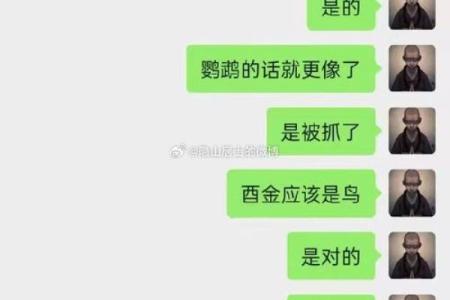葵卯女命:解读她们的性格特征与命运走向