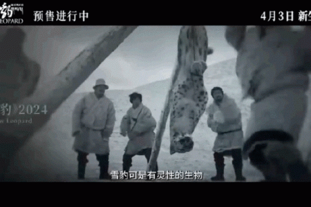庙前看门狗的命运与灵性探究