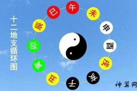 农历二月出生的五行命理解析:解读你的命运与性格特点