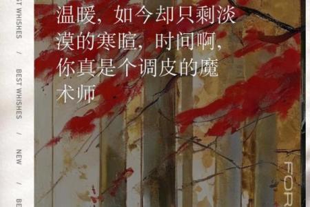 理解命里亲情淡薄的深层含义与情感探索