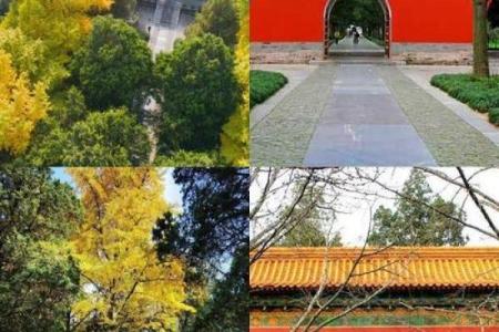 探索九三年的命运:人生与时空的交汇点