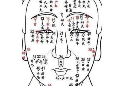 脸上痣的奥秘：揭示你的命运与性格特征