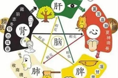 1994年出生的人命运解析：金木水火土五行相生相克的深刻影响