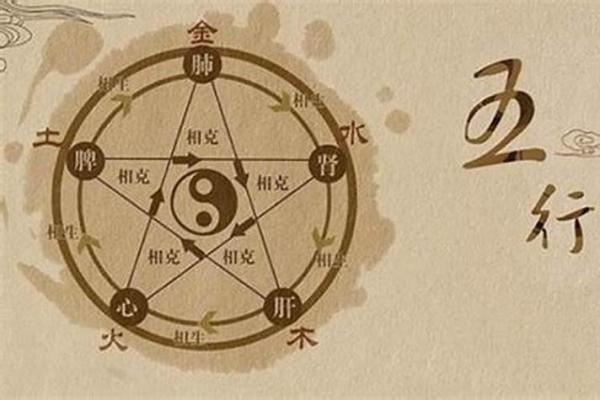 命理缺金：为何在风水中不宜养植物？解密背后的原因！