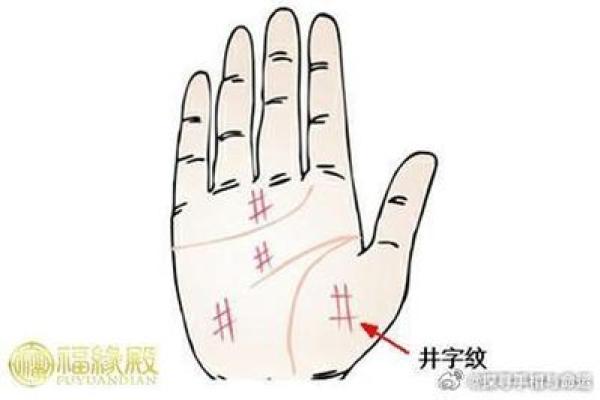 飞凤之命：探索命格背后的深厚智慧与独特魅力