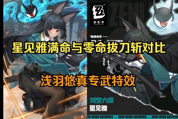 满命加专武的真正内涵与实战价值解析