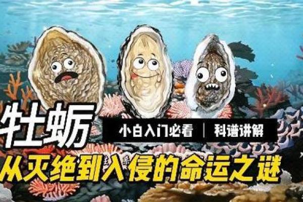 每年丢一样东西，探寻生活的命运与变迁之谜