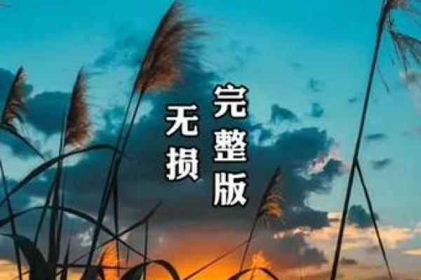 在旋律中寻找遗忘的痕迹：拼了命的想忘记你