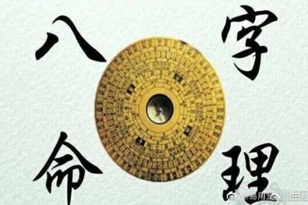 从命局到岁运：揭示命理的奥秘与智慧
