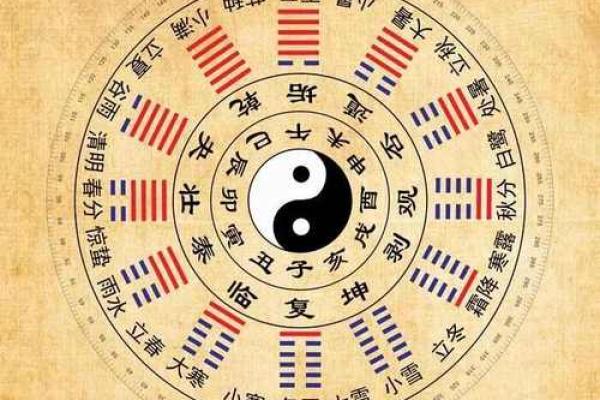 探索木命五行：适合属木之人的字与生活智慧