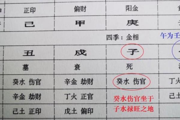 女命八字分析：追寻最适合的命格与幸福人生