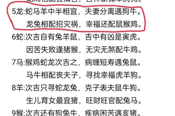 女人生肖属相解析：探索命运之路，发现人生的无限可能
