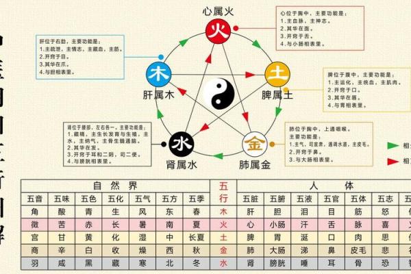 女命五行不缺的原因与影响探讨
