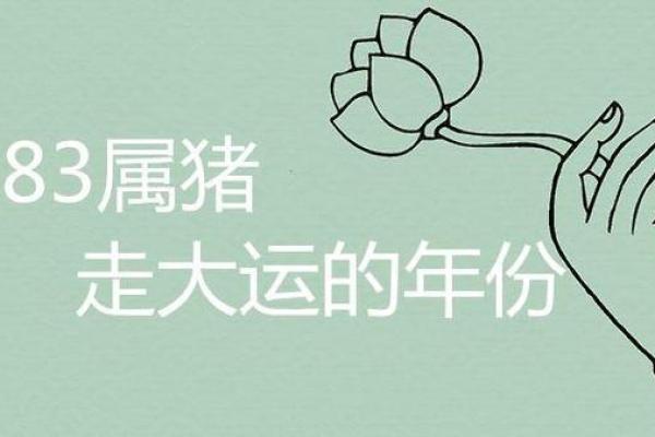 1996年属猪人：五行命理与人生运势解析
