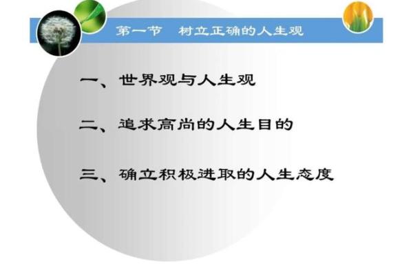 命里欠三分：解读人生中的那些欠缺与弥补之道