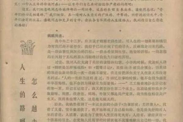 探秘：「名字笔画二十四画」的命理奥秘与人生轨迹
