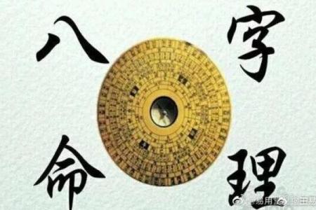 从命局到岁运：揭示命理的奥秘与智慧