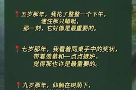 你会是我如命吗？探讨爱的深度与生命的意义