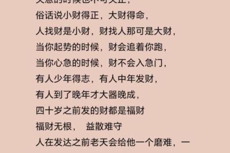 探索“令不加借算而命”背后的智慧与人生意义