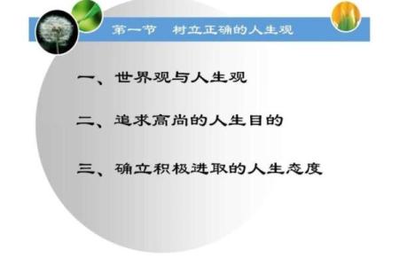 命里欠三分:解读人生中的那些欠缺与弥补之道