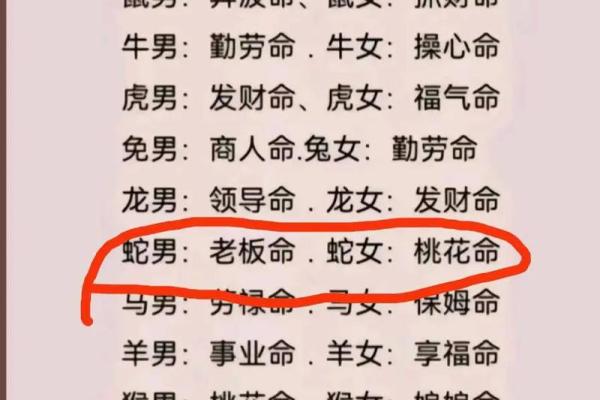 明年兔年与后年龙年：命理解读与人生启示
