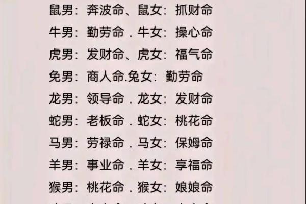 明年兔年与后年龙年：命理解读与人生启示
