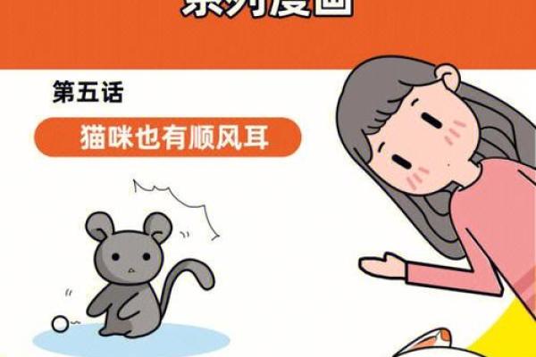 九条命的猫咪：探索它们神秘而顽强的生命奥秘