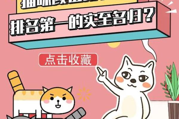 猫咪的七条命：探寻这一奇妙传说背后的含义与趣味