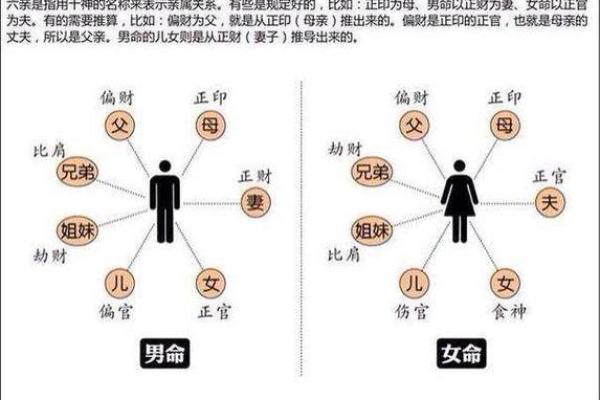 正财星的意义与影响：探讨双正财星对命局的启示与指导