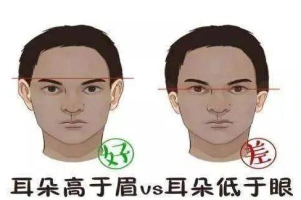 木命女性与生肖命理的完美匹配探讨
