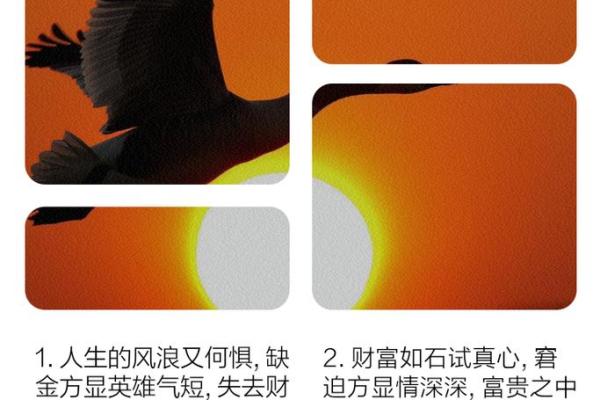 女性命里木多缺金的命运解析与调和方法