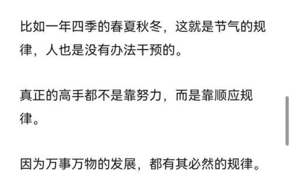 探秘命更子：揭开命理与人生的奥秘
