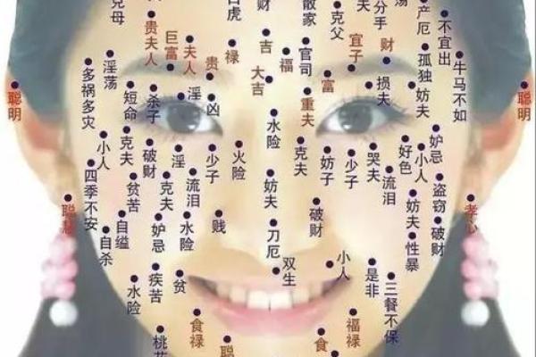 女旺夫命解析：揭秘女性如何影响家庭和谐与丈夫运势