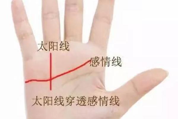 探索“没有财富命”的奥秘：如何实现内心的富足与幸福