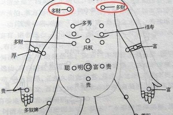 女人心脏在右边的命运：科学与命理的奇妙结合