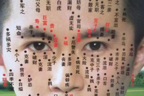男人膝盖一条纹路的命运解析：揭示你的生活与性格秘密