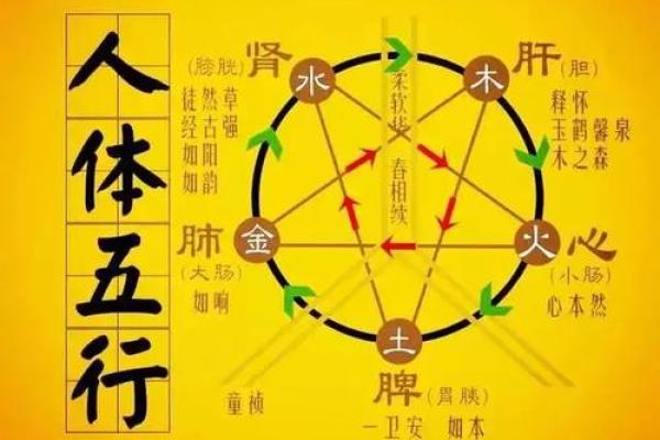 木命男娶金命女：命理中的美满组合与和谐相处之道