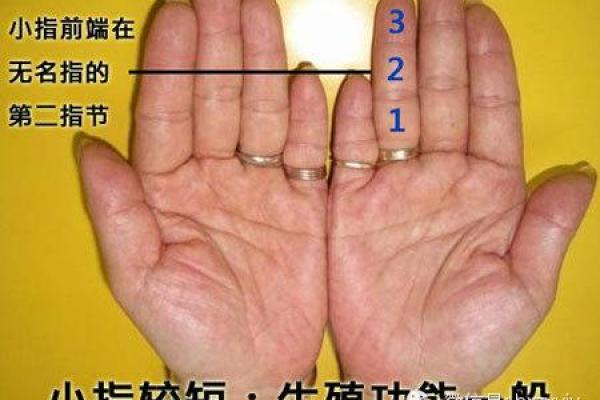 买房必看：五行属性对命运的影响解析