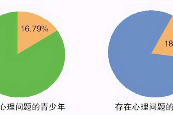 揭开“哭命命”的神秘面纱——探寻背后的文化与情感