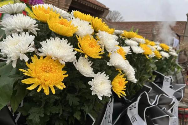清明节为何与命运息息相关，探寻背后的文化内涵与人生哲理