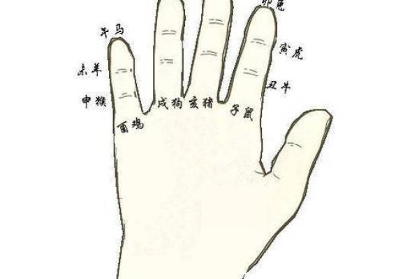 探秘量指算命：一尺命究竟是什么命？