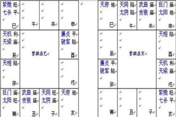 探索廉贞天府的命理特征与人生启示
