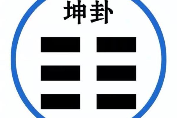 揭秘命卦坤命的深刻内涵与人生启示，探索阴柔之美与力量