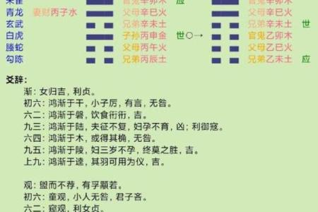女人之命：解读“命运”的深刻寓意与生活启示