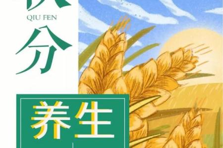 炉中火命的五行缺土,如何通过养生寻求平衡?