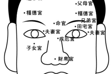 女生男相解析:你知道你的命理密码吗?