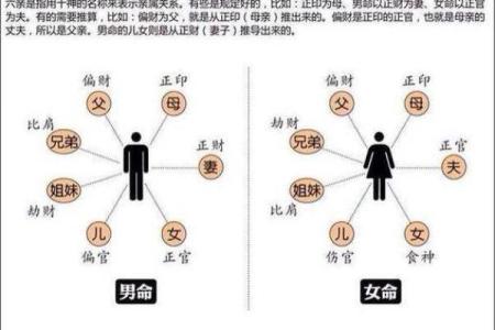 正财星的意义与影响:探讨双正财星对命局的启示与指导